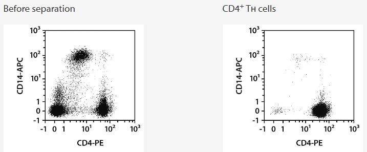 Separation of a Leukopak sample using the StraightFrom Leukopak CD4 MicroBead Kit and the MultiMACS Cell24 Separator Plus with the Multi-24 Column Blocks. Cells were fluorescently stained with CD4-PE, CD14‑APC, as well as CD45‑VioBlue and analyzed by flow cytometry using the MACSQuant Analyzer. Cell debris and dead cells were excluded from the analysis based on scatter signals and propidium iodide fluorescence.